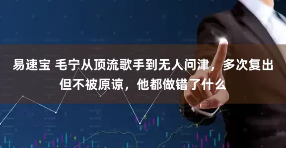 易速宝 毛宁从顶流歌手到无人问津,多次复出但不被原谅,他都做错了什么